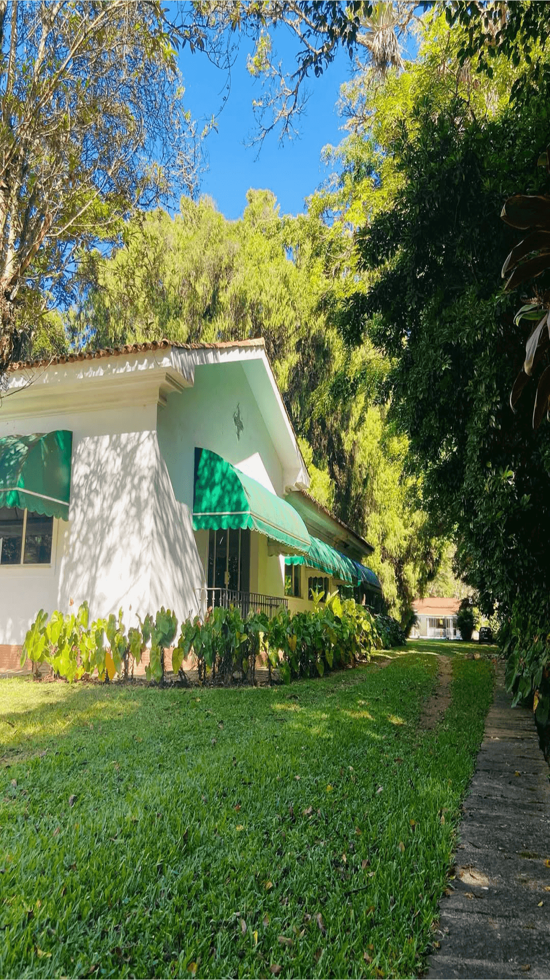 Bosque de Taunay - Itaipava